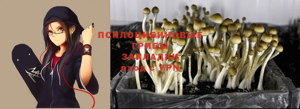 кокс Алексин