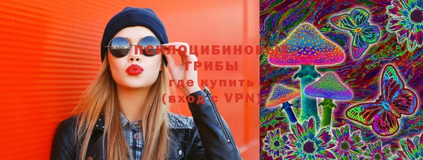 PSILOCYBIN Алексеевка