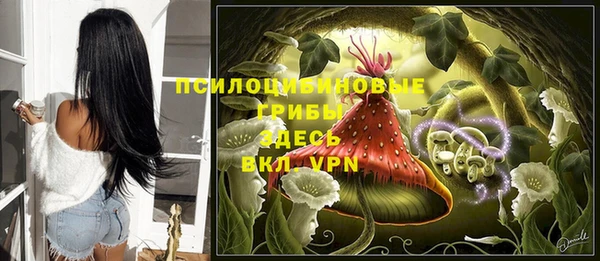 PSILOCYBIN Алексеевка