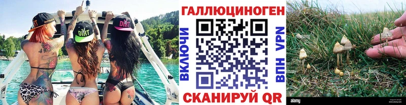 Псилоцибиновые грибы Psilocybine cubensis  Кудрово 