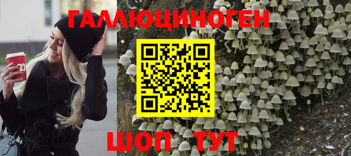 Псилоцибиновые грибы прущие грибы  Вход с VPN  Кудрово 